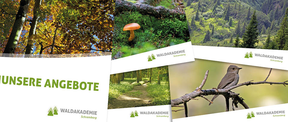 Stapel von Printmaterialien von der Waldakademie in Schramberg