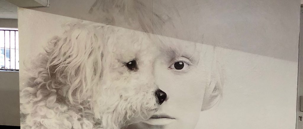 Fumes and Perfumes Poster