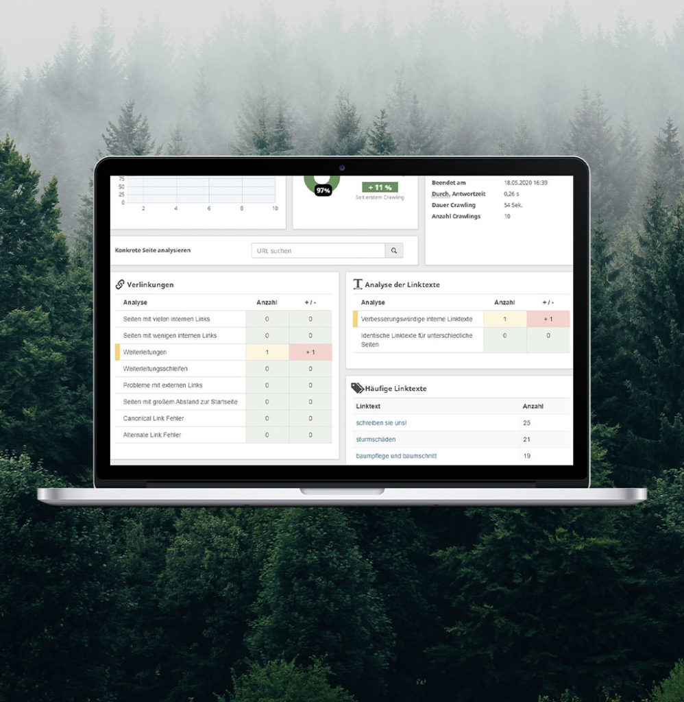 Baumfritze Beispiel Analytics