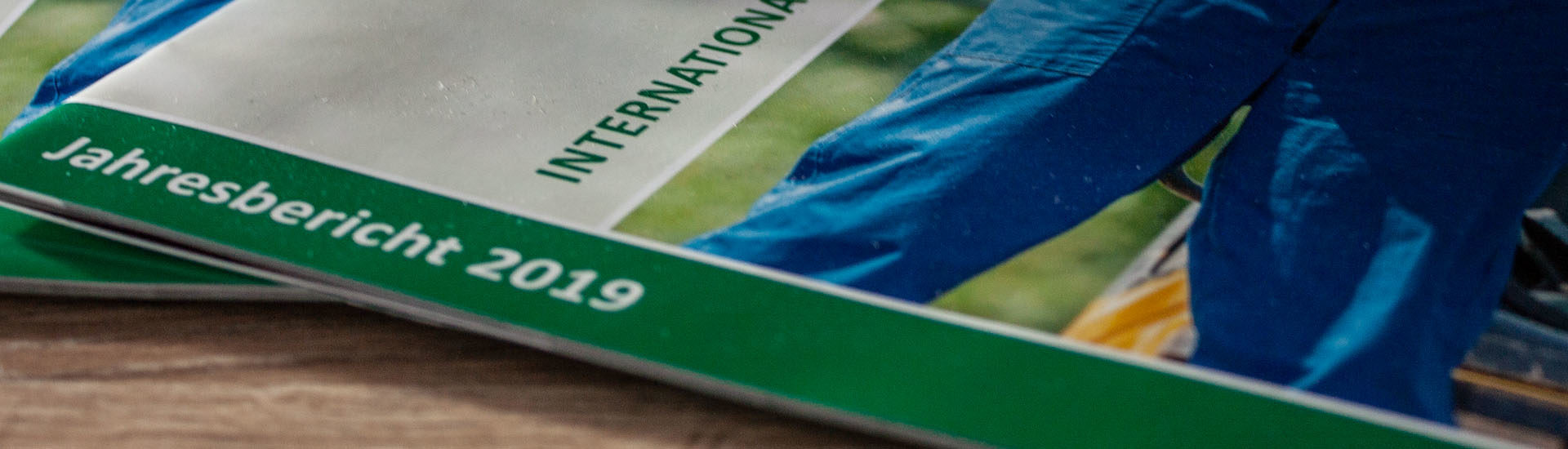 EMS Jahresbericht 2019