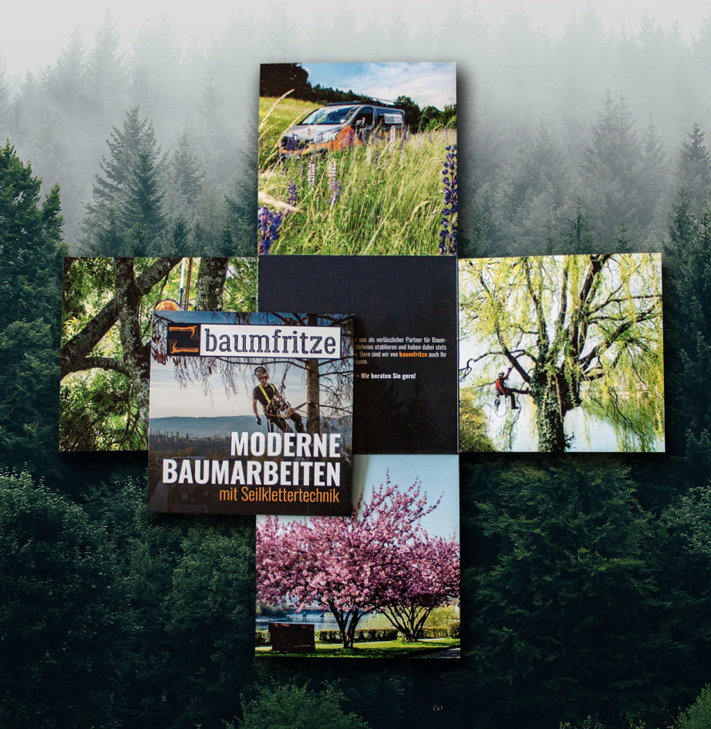 2_baumfritze_Galerie_7